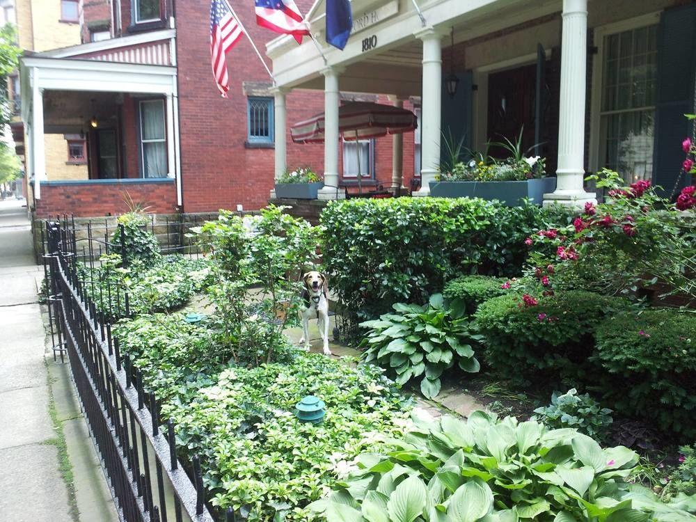 Clifford House Private Home B&B Κλίβελαντ Εξωτερικό φωτογραφία